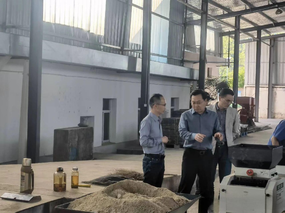 宣城市供销社党组  副书记张堂宣一行  来我公司开展调研